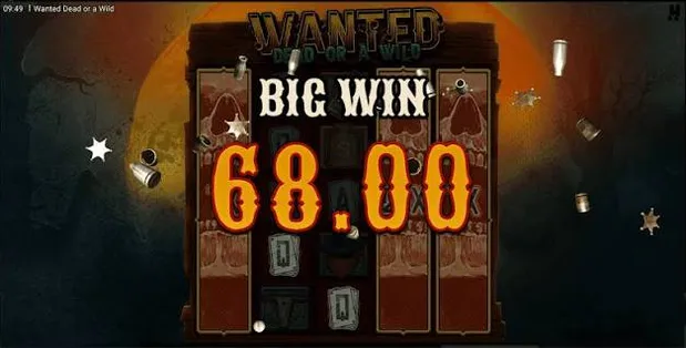 Wanted Dead or a Wild